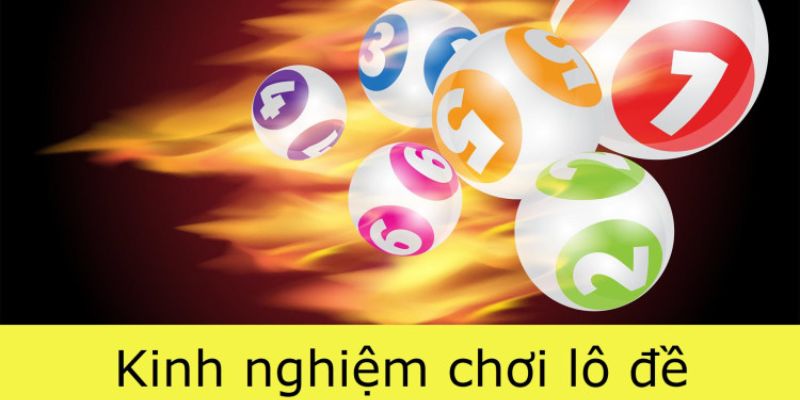 Hiện nay, Sân chọi gà Tomo đã phát triển thành một sân chọi gà hiện đại đạt tiêu chuẩn Pkwin - Pkwin