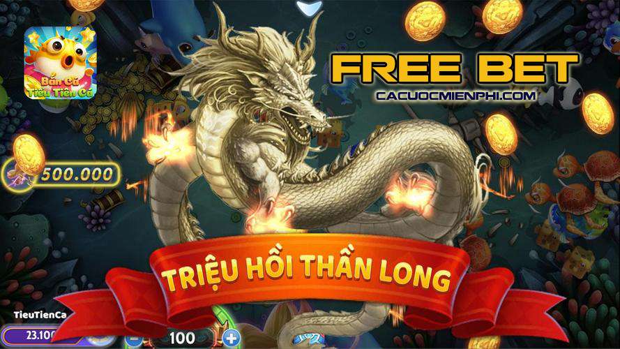 Công ty Dt68 Games và các thông tin liên quan - Dt68