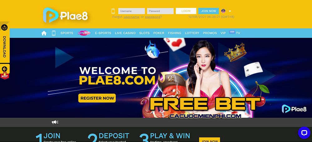 Hướng dẫn cách nhập mã vào tài khoản Sbotop của bạn - Sbotop