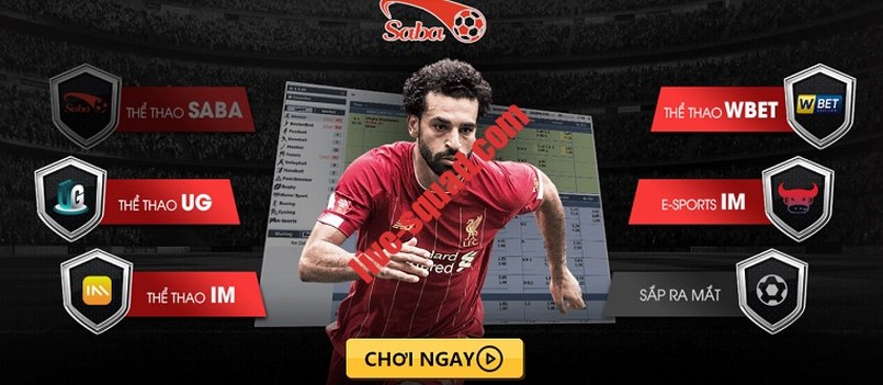 St666 cung cấp các quyền lợi độc quyền cho các thành viên VIP của mình - St666