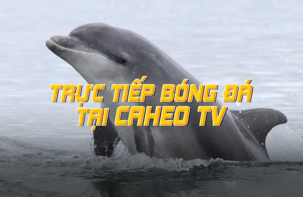 Trò chơi máy đánh bạc trực tuyến Xso99 LOT PG rất dễ thắng - Xso99