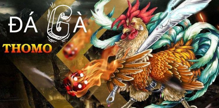 Nó tập hợp những chương trình khuyến mãi phổ biến nhất từ các cửa hàng trực tuyến được xếp hạng 68Lottery - 68Lottery