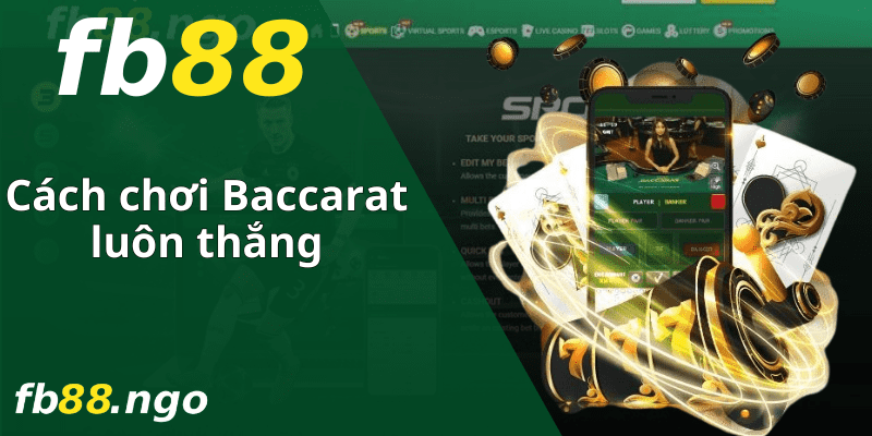 Hướng dẫn cách giao dịch với Tobet - Tobet