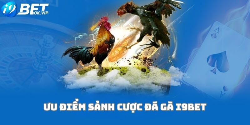Đánh giá sản phẩm Ko66 - Ko66