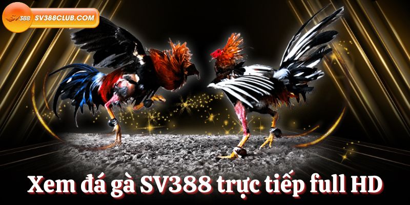 Cấp độ Pkvip: Trải nghiệm trực tuyến xuất sắc - Pkvip