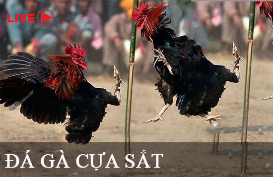 Nguồn gốc của trang web game Gwin - Gwin