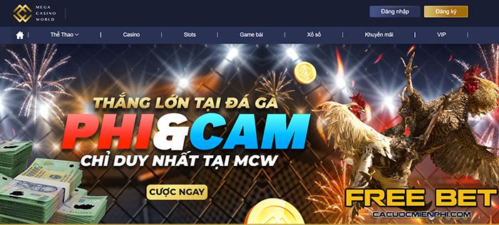 Câu hỏi thường gặp – Giải đáp thắc mắc của người chơi về các sòng bạc trực tuyến được xếp hạng Ok33 - Ok33