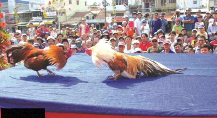 Sunwin thật tuyệt vời! - Sunwin
