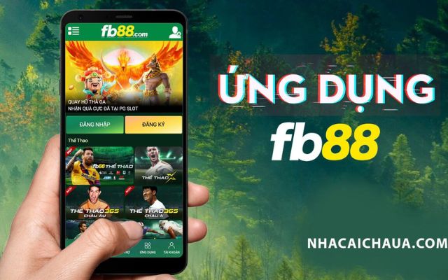 Trang Facebook Df999 Việt Nam - Df999