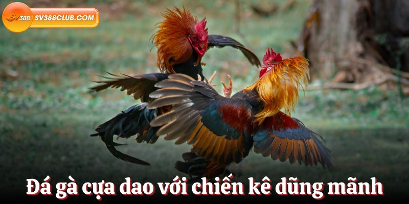 Mất bao lâu để nhận được khoản vay 100000 đô la từ 7Club? - 7Club
