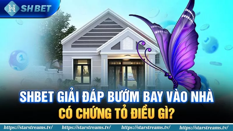 Hai ứng dụng đáng tin cậy nhất St666 - St666