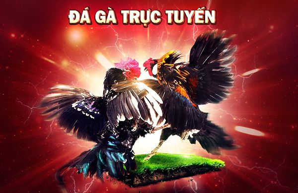 Giới thiệu Hệ thống cá cược trò chơi 85Bet - 85Bet