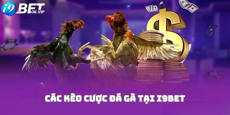 Việc đăng ký Hi88 bằng điện thoại di động rất đơn giản - Hi88