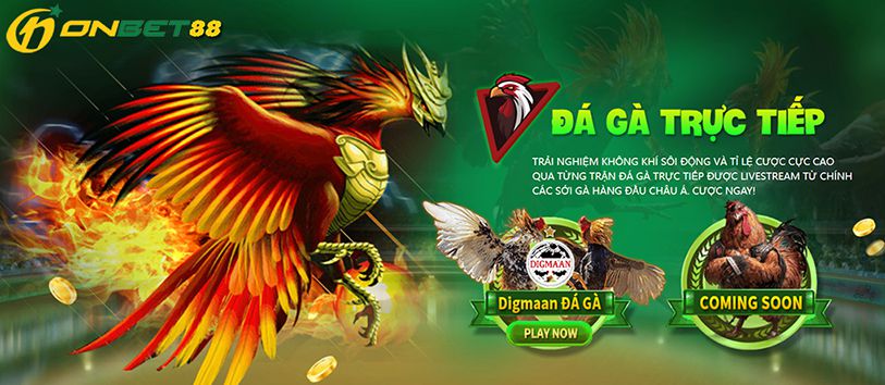 Các trang web chơi game được xếp hạng Jdb666 cung cấp quy trình nạp tiền nhanh chóng - Jdb666