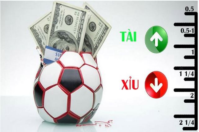 Chiến lược hiệu quả nhất để chơi Xoc Dia trên các máy chủ cấp Bk8 - Bk8