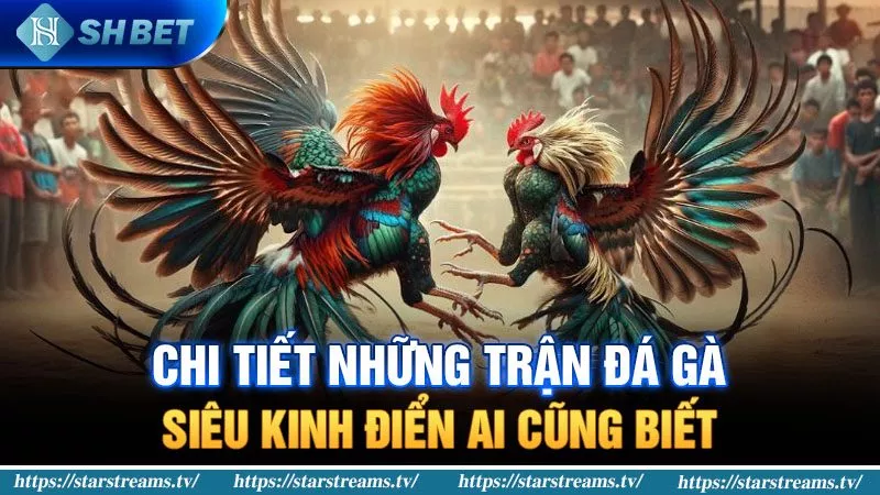 Câu lạc bộ 88Uu sẽ hỗ trợ việc đổi điểm thưởng như thế nào? - 88Uu